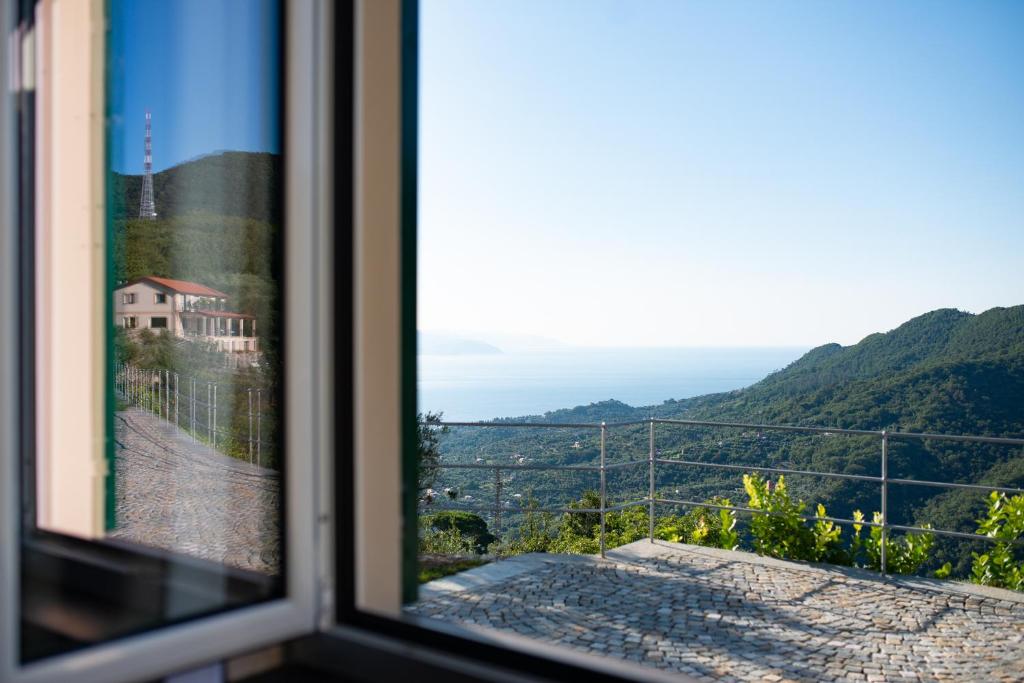 Il Leccio