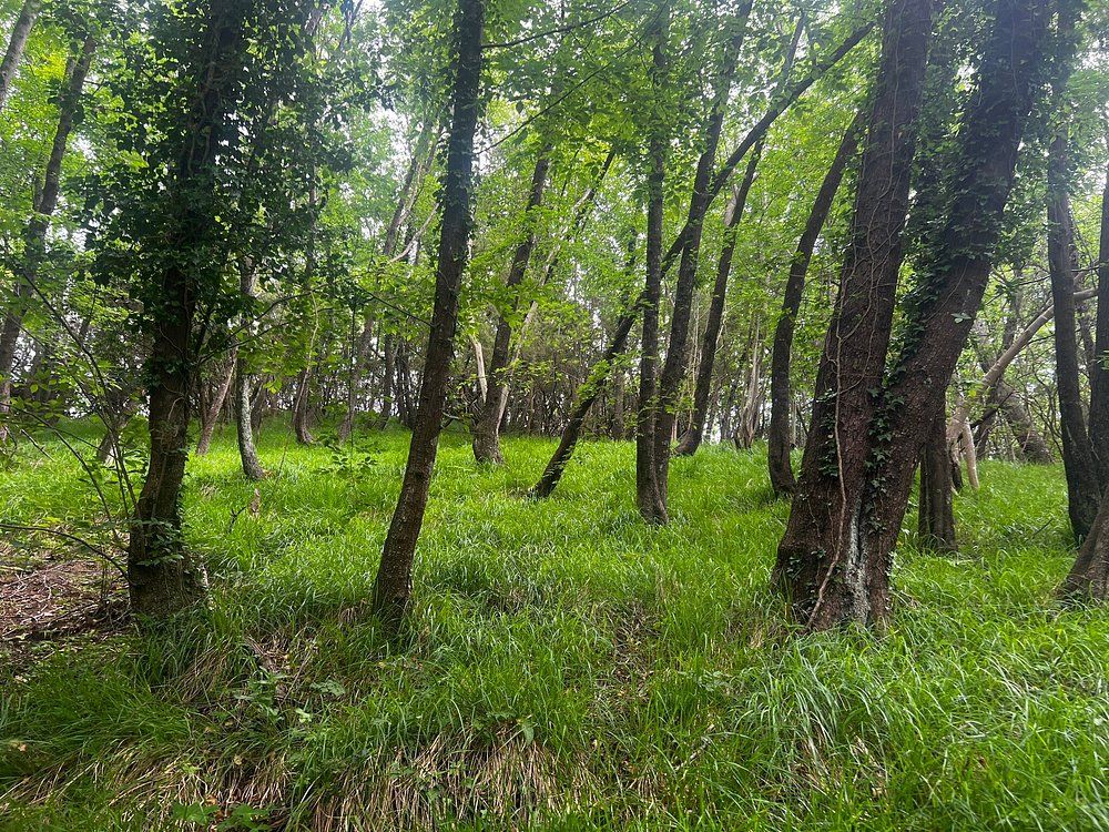 Portofino Regional Natural Park