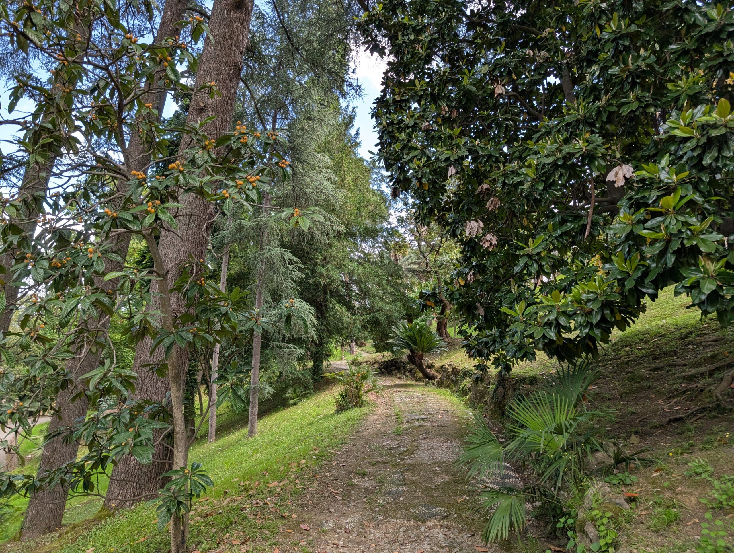Romantic English Wood In Villa Durazzo