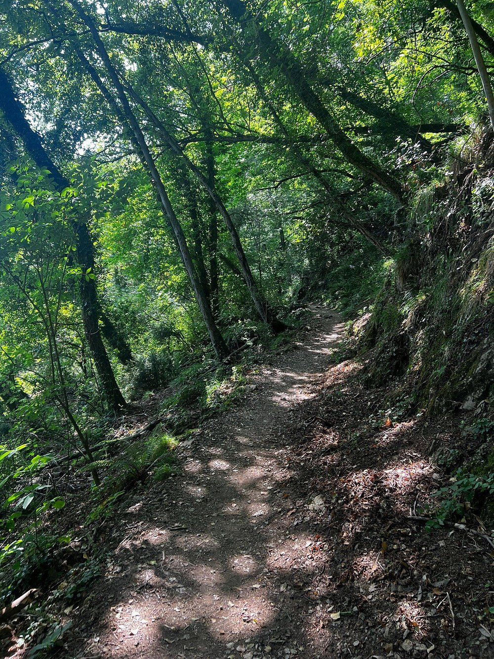 Santa Margherita Ligure To Portofino Trail